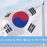 Các công ty Hàn Quốc ở Việt Nam: Cơ hội làm việc cho DHS Hàn Quốc
