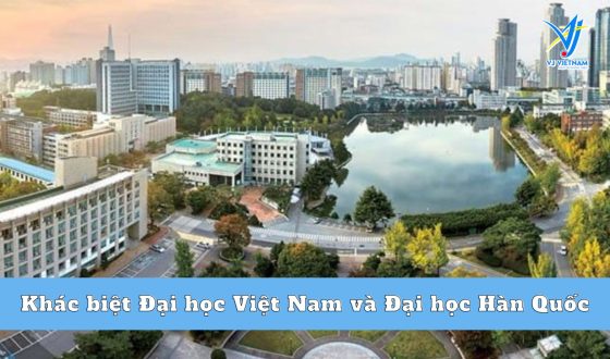 Tất Tần Tật Điểm khác biệt Đại học Việt Nam và Đại học Hàn Quốc
