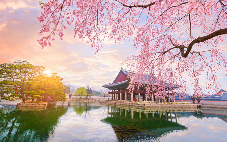 Mùa xuân ở Hàn Quốc bắt đầu từ tháng 3 cho đến tháng 5