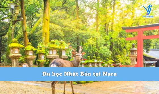 Du học Nhật Bản tại Nara – Vùng đất Cố đô của xứ Phù Tang