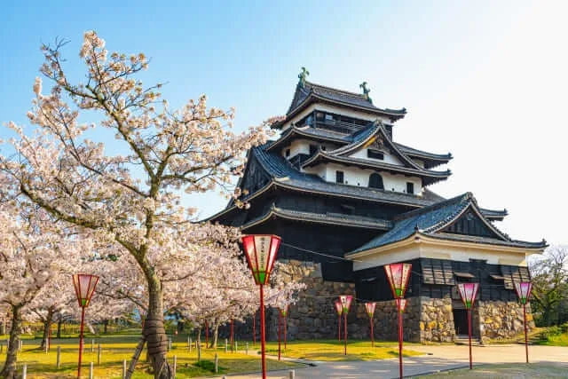 1 trong 12 tòa thành được công nhận là tài sản quốc gia của Nhật chính là Lâu đài Matsue