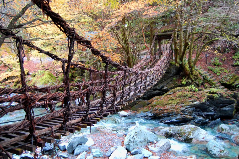Cầu dây văng ở thung lũng Iya - Du lịch Tokushima