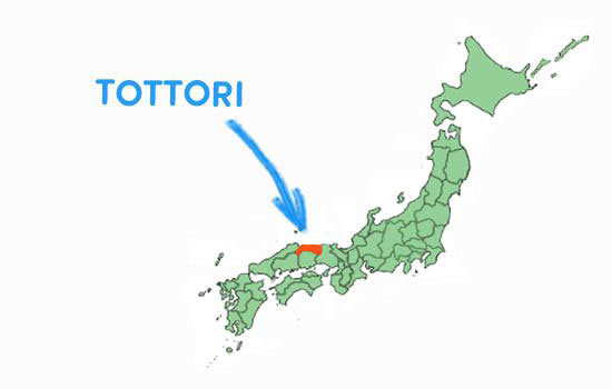 Tottori cách Tokyo bao xa