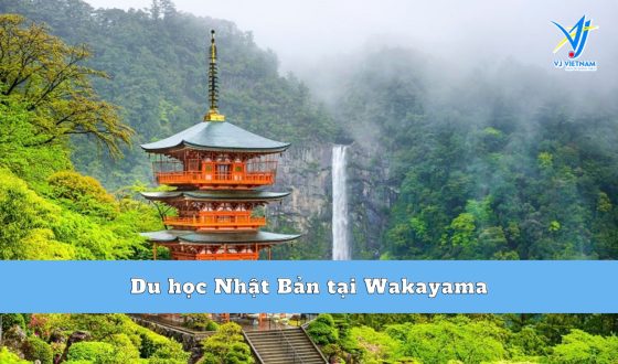 Du học Nhật Bản tại Wakayama – Vùng đất hành hương nổi tiếng