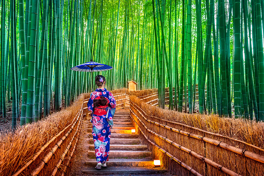 Rừng tre Arashiyama - Du học Nhật Bản