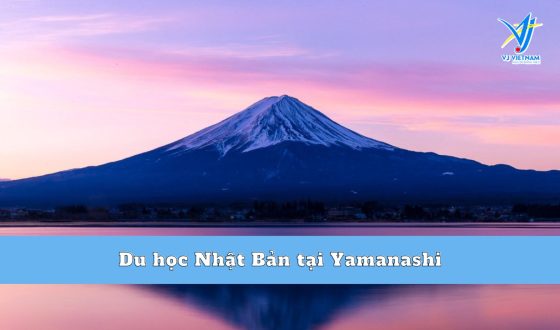 Du học Nhật Bản tại Yamanashi – Nơi Núi Phú Sĩ Tọa Lạc