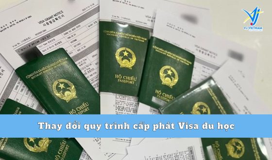 [Cập nhật] quy trình cấp phát Visa du học 2024