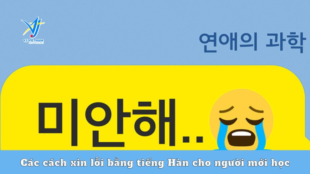 Các cách xin lỗi bằng tiếng Hàn cho người mới học