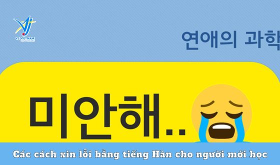 Các cách xin lỗi bằng tiếng Hàn cho người mới học