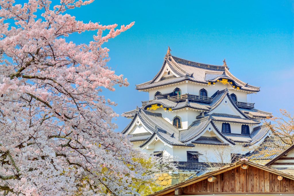 Hikone là một trong bốn tòa lâu đài được chỉ định làm bảo vật quốc gia tại tỉnh Shiga  - Văn hóa Nhật Bản