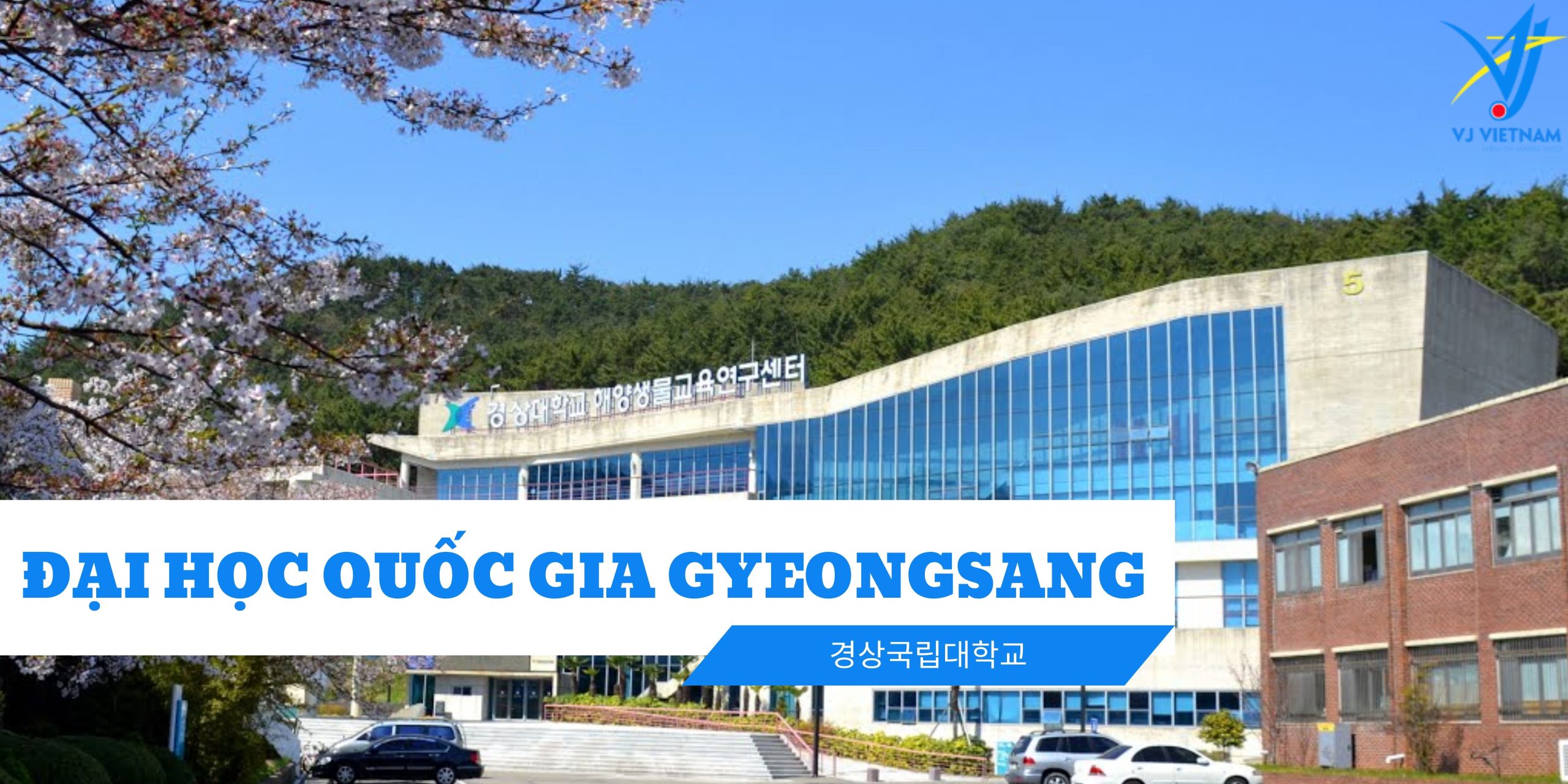 Dai hoc Quoc gia Gyeongsang scaled