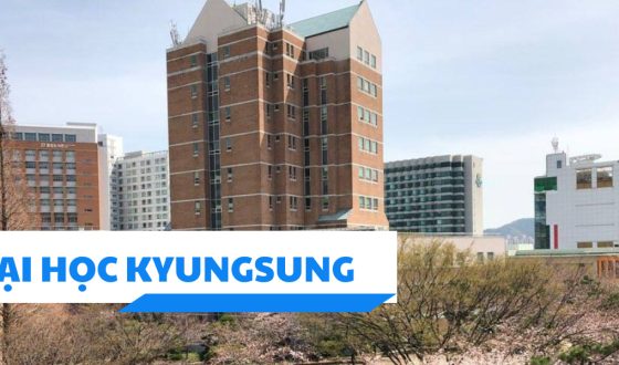 Trường Đào tạo ngành Du lịch & Khách sạn hàng đầu tại Busan