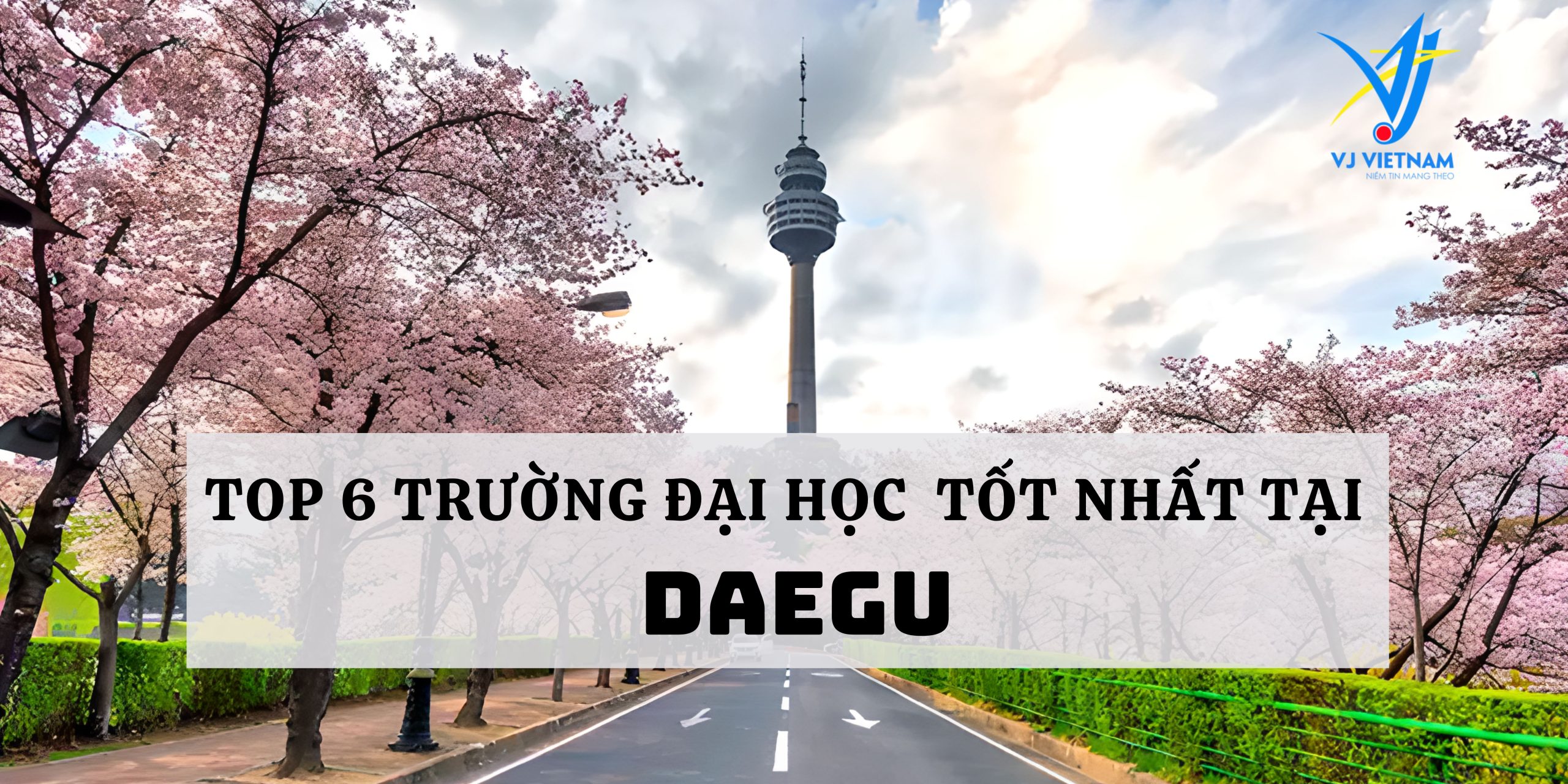 Top cac truong Dai hoc tai Daegu scaled