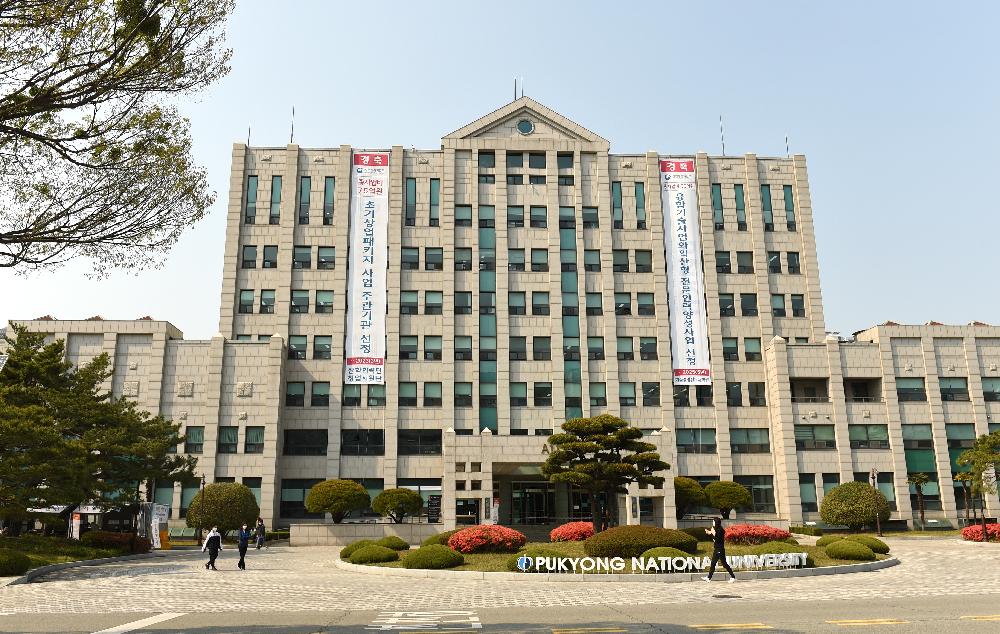TOP 20+ Các Trường Đại Học Ở Busan Và Học Phí Giá Rẻ Tại Hàn Quốc