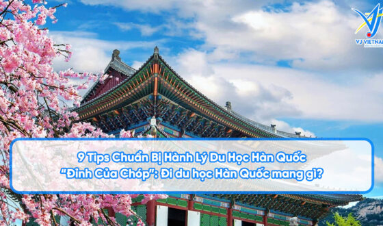 di du hoc han quoc mang gi