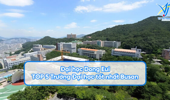 dai hoc dong eui