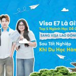 Top 5 ngành học dễ chuyển đổi sang Visa E7