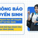 Top Ngành Học Dễ Chuyển Visa E7 Tại Hàn Quốc - Lộ Trình Dài Hạn Dành Cho Du Học Sinh (Cập Nhật 2026) 18 Các ngành học dễ chuyển Visa E7